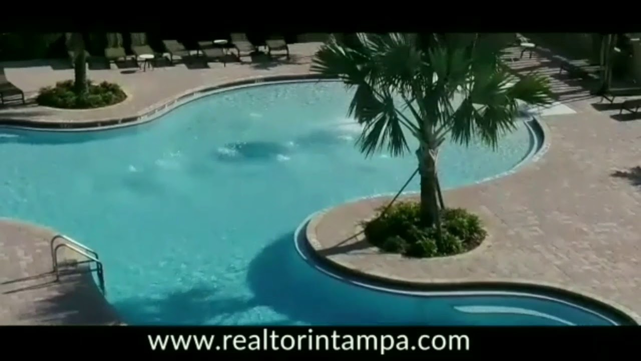 Broker in Tampa Sammy Haji Tampa realtor