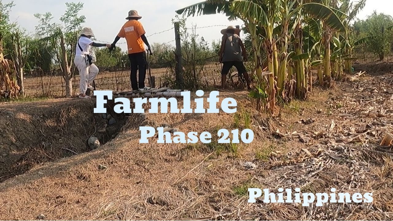 FULL VIDEO: 90 Days Build a Farm Life - Bamboo House, Plant orchids, Animal, Gardening