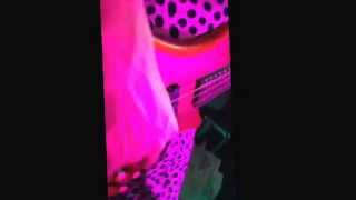 The Lou Dogs. New Globe Theatre 1814