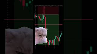 #trading #crypto #cryptomeme #funny