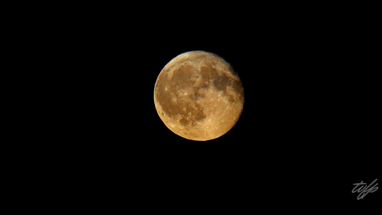 LUNE D'ESTURGEON  NUIT ROBURIENNE