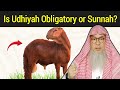 Is Udhiyah Obligatory or Sunnah? | Sheikh Assim Al-Hakeem