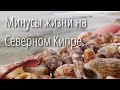 Минусы жизни на Северном Кипре. Стоит ли сюда приезжать.