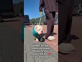 The video of today ❤️ walking has to go with baby steps and very slow as you can see. But oh man