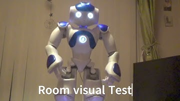 AI Nao Robot ChatGPT Computer Visiion test