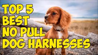 Top 5 Best No Pull Dog Harnesses in 2019 screenshot 5