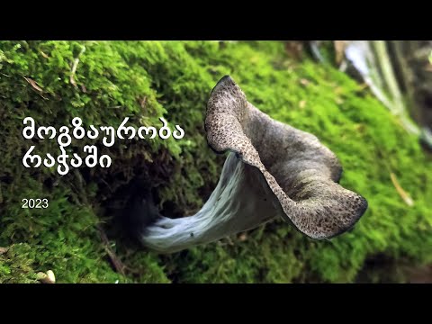 მოგზაურობა რაჭაში - ივლისი 2023