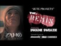 Zaho Je te promets remix Ft Dwane Sweazie Downlo Cold Chamber