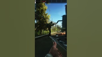 Lighthouse Scav Run - Escape From Tarkov