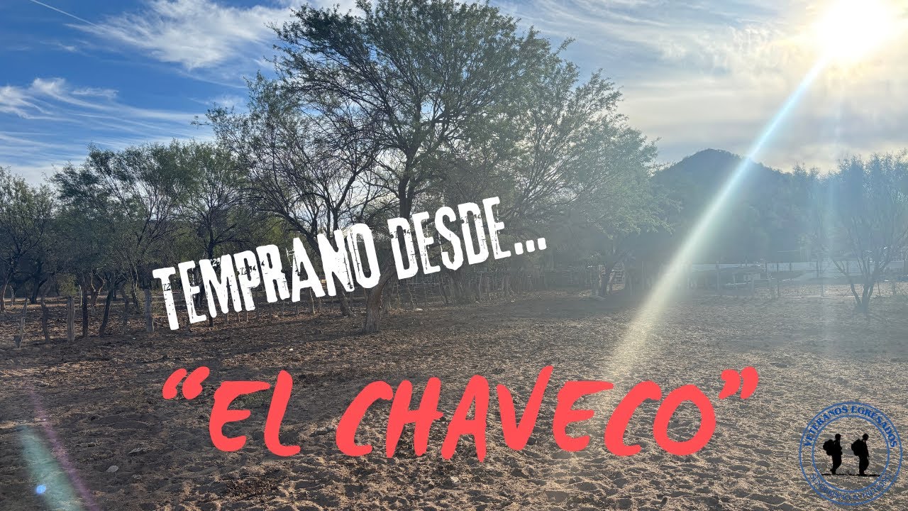 82.- CHECANDO TERRENO(CORTO)