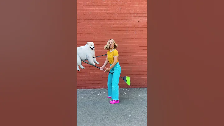 The dog stole my powers  #results