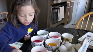 Painting Easter Eggs. Lots of color and a great coloring kit. by BUSY BEE EXPLORING 12 views 2 years ago 3 minutes, 7 seconds