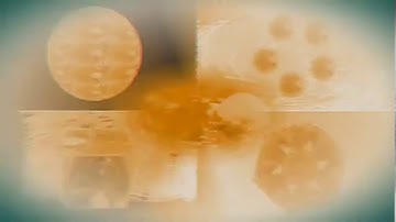 Yoshi Keep Running MultiRendering