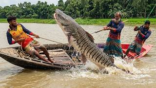 Big Size Fish Catch 400| Fishing 