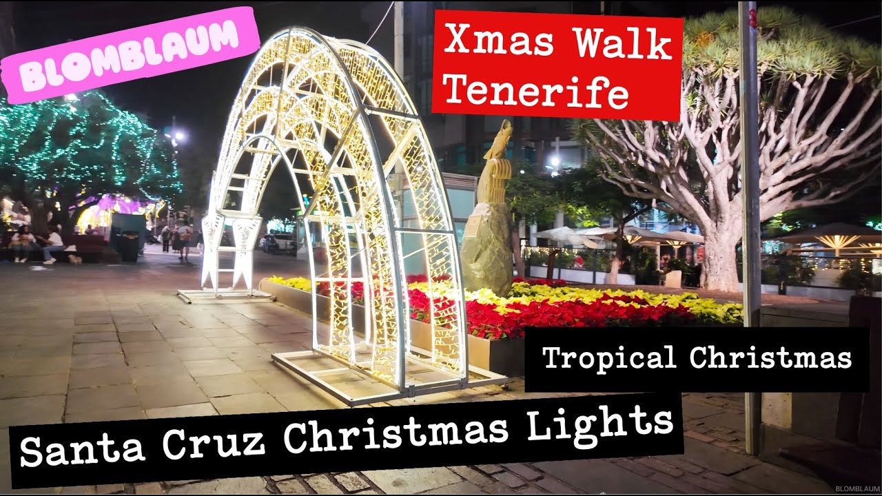 Christmas Lights in Santa Cruz Tenerife | Warm December Night Walk & Tropical Festive Vibes