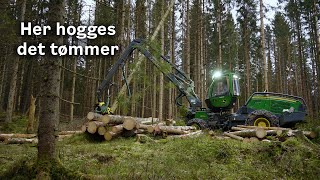 Her hogges det tømmer!