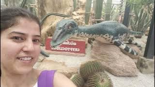 Dinosaur park cactus park in Nongnooch garden in Pattaya in Thailand#rksnehawork #thailand