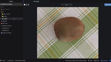 6. Handling Images With Webpack