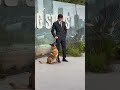 THE DOG STARS | In Theaters August 28