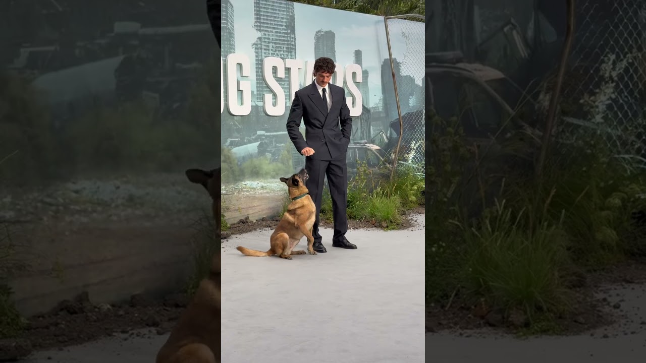 THE DOG STARS | In Theaters August 28 thumbnail
