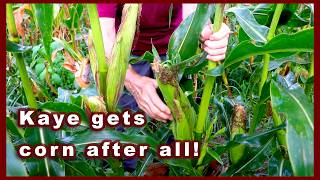 Summer Wrap-up Part 1 (the Long Goodbye) #gardenwork