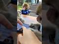 【人間！？】お猿さん達のスマホ会議　An important business meeting with the monkeys today... #monkey #cute #shortvideo