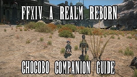 FFXIV ARR: Chocobo Companions Guide