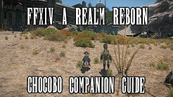 FFXIV ARR: Chocobo Companions Guide