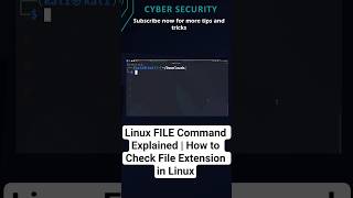 Linux FILE Command Explained | How to Check File Extension in Linux  #shorts