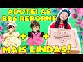 ADOTANDO A TERCEIRA BEBÊ REBORN NA QUARENTENA - FADA MADRINHA - Dudinha Show