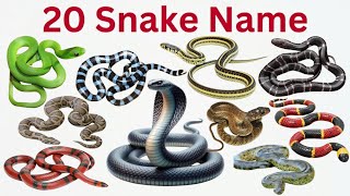 Snake Names for Kids |Preschool &amp; Toddler Learning Video | Learn 20 Snakes in English &amp; Hindi #snake