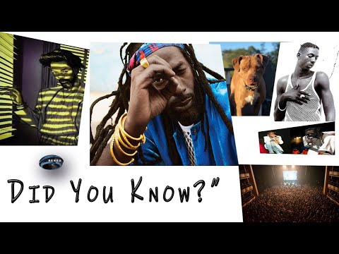 Video: Buju Banton Net Worth