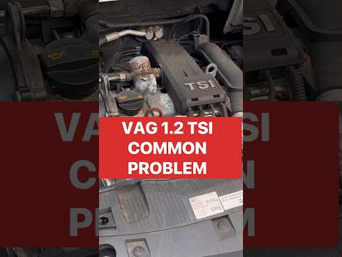 VAG TSI Engine Common Problem. #volkswagen #timingchain #noisyengine #carrepair