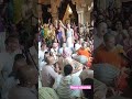 Vrindavan dham iskcon  temple mein videshi bhakton dwara kirtan