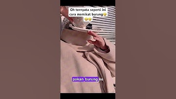 OH JADI SEPERTI INI CARANYA MEMIKAT BURUNG! ! ! #shorts  #lucu  #ngakak
