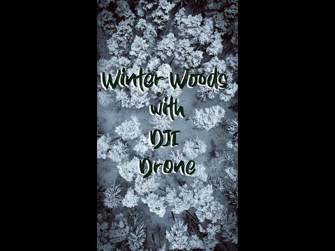 Peaceful Winter Forest with Drone - Vilnius #shorts #shortsfeed