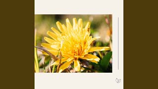 Distinguished Music for New Beginnings