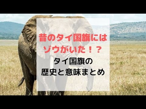 【5分でわかるタイ国旗の歴史】昔はタイの国旗に象がいた！？タイ国旗の意味と歴史を解説