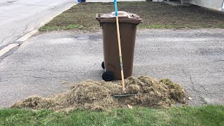 30$ Thatch Rake worth it??