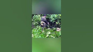 Mowing our jungle with a circular disc #brushcutter #trimmer #lawnmowers #grass