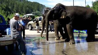 Dwd circus 7-2-11 H - wait for parade.MOV