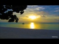 【Relax & Healing BGM】Sea wave and Birdsong/波の音と小鳥３時間Ver.