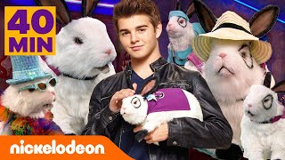 Maratón de 40 minutos de Dr. Colosso, el conejito. | Nickelodeon en Español