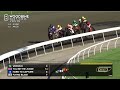 Woodbine, Tbred, September 25, 2026 Race 7 | Woodbine Horse Race Replay