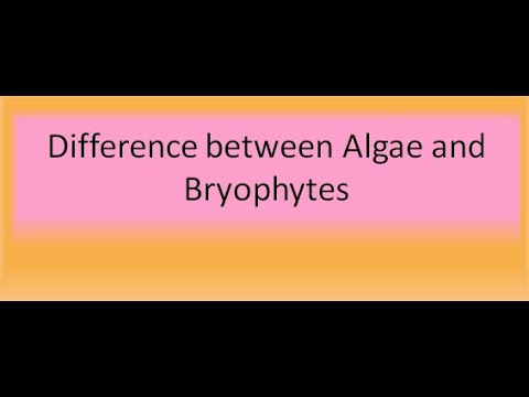 Difference between algae and bryophytes | For B.Sc. and M.Sc.| ALL ABOUT BIOLOGY | BY Jyoti Verma
