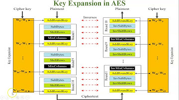 Key Expansion in AES | Round Constant and g function in Key Expansion in AES