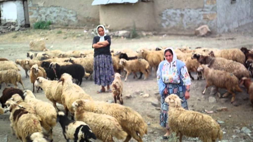 AYHAN AYDIN'LA EKİN İDİK OLDUK HARMAN: FOTOĞRAFLARLA YENİKÖY 1990'LAR