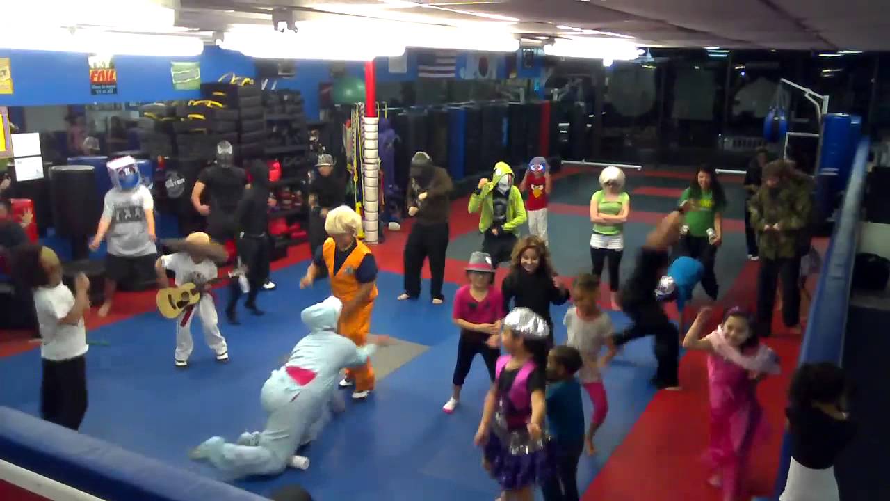 Millennium Martial Arts Harlem Shake