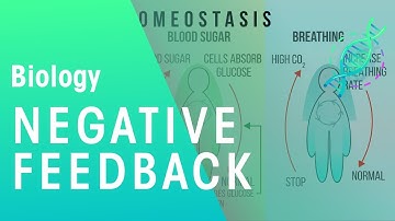 Negative Feedback | Physiology | Biology | FuseSchool