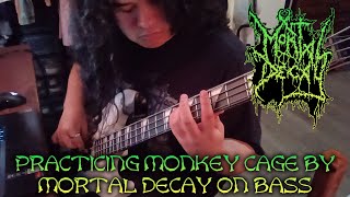 Practicing Monkey Cage by Mortal Decay on bass (Tabs in Description)